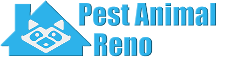 Reno Wildlife and Animal Removal
